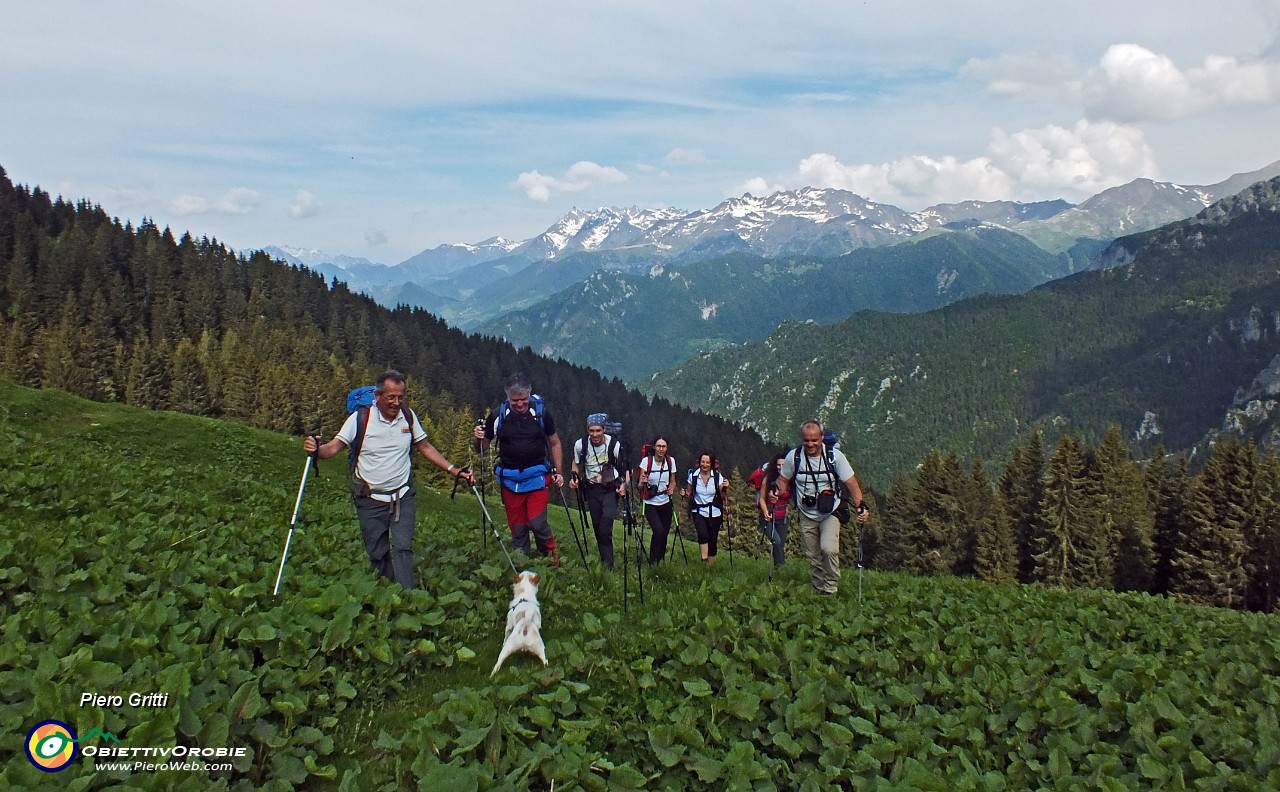 10 e via sul sentiero 121  per prati in direzione Forcolino di Torcola .JPG